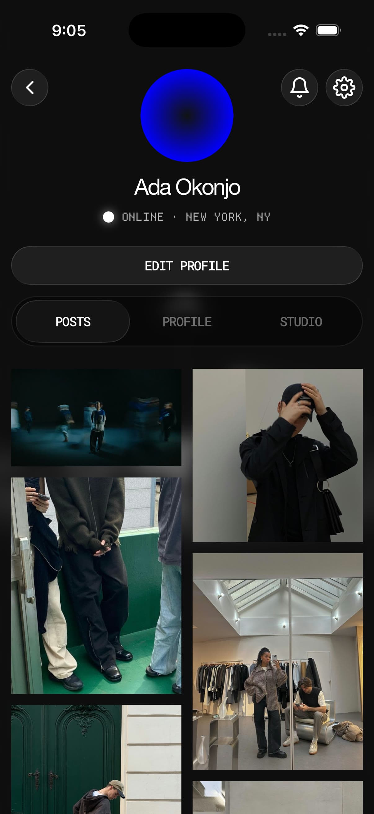 The profile opened, on the posts tab: a grid of the member's own photographs, with profile and studio alongside.